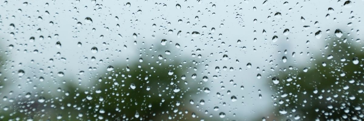 Yağmurlu Gün Film Seçkisi